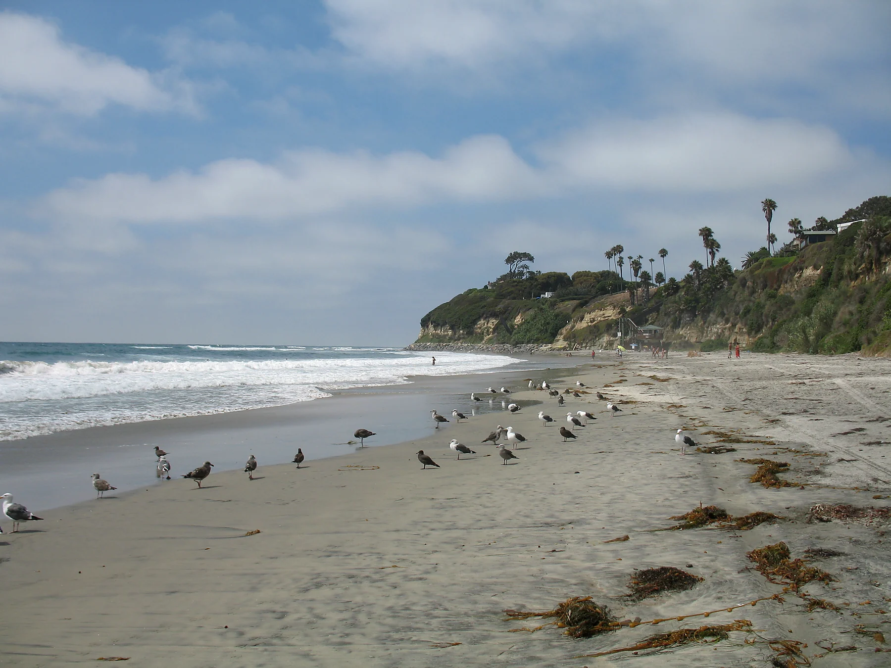 Swami's Beach representing Encinitas, California
