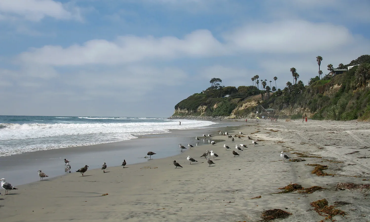Swami's Beach in Encinitas, California