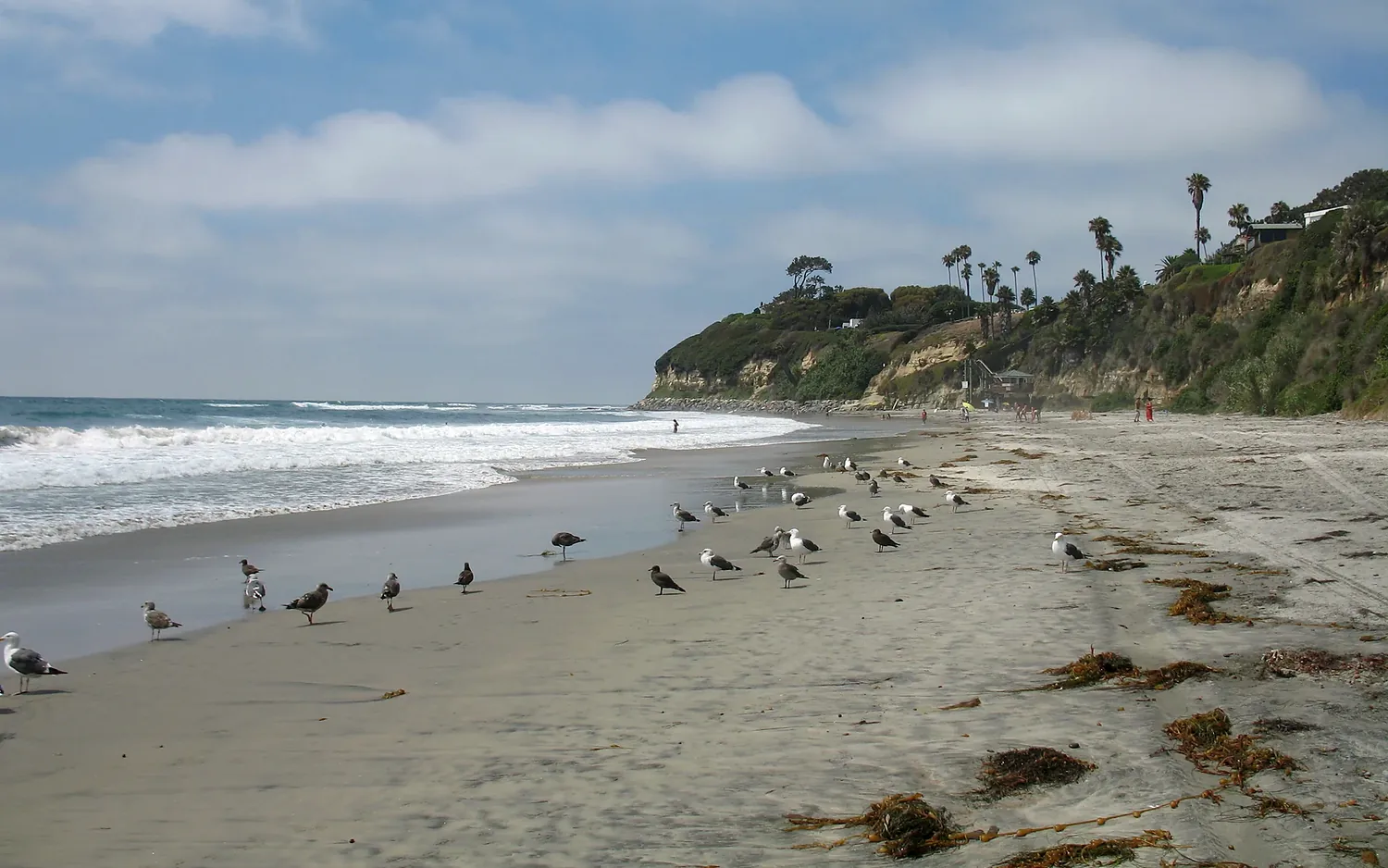 Swami's Beach in Encinitas California