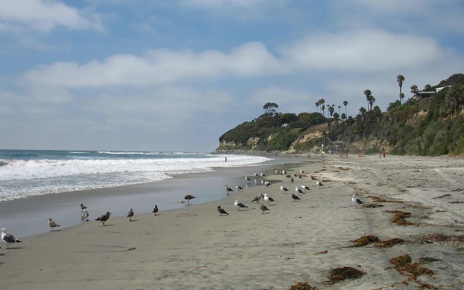 Swami's Beach in Encinitas California